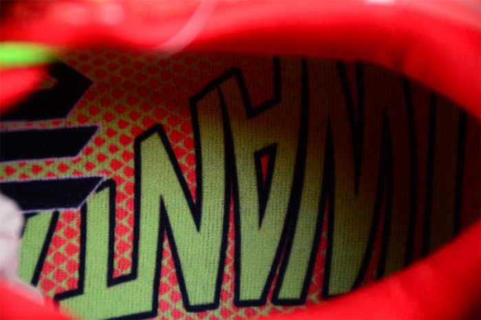 nike kobe 6 protro reverse grinch