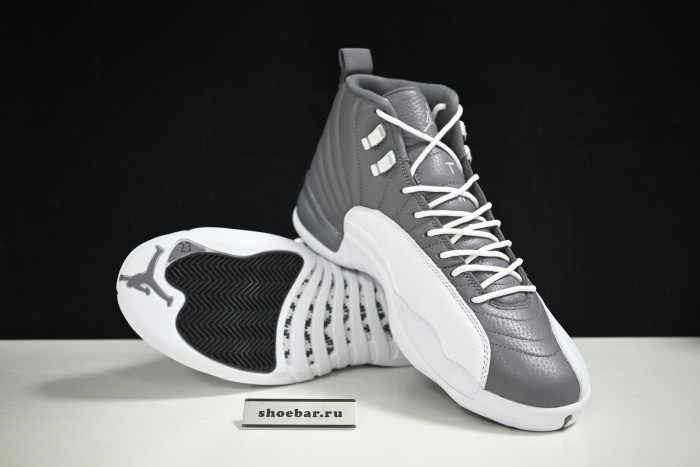 jordan 12 stealth white cool grey ct8025-610