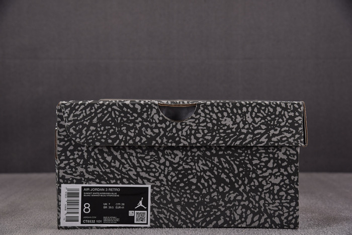 Jordan 3 Retro Lucky Shorts CT8532-101